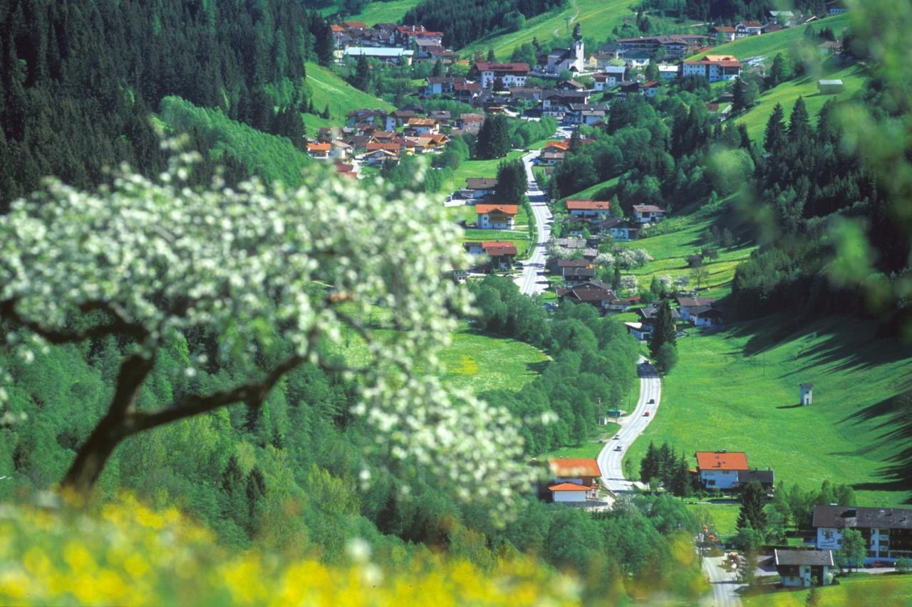 ホテル Haus Am Wildbach アウフファッハ エクステリア 写真